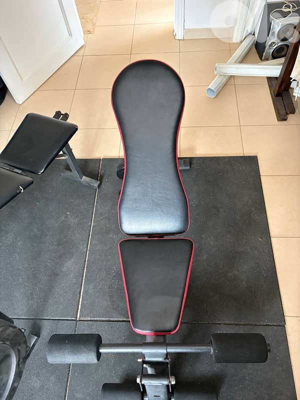 dumbles - bench press - incline bench press 6