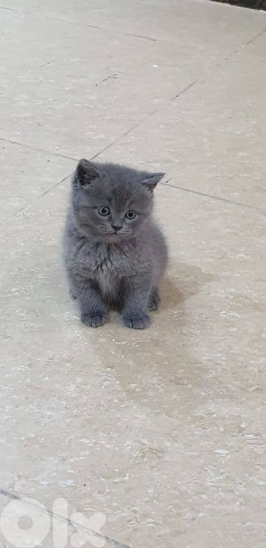 أحلى الأسعار