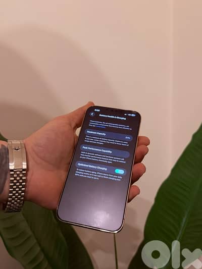 iphone 13 pro max 256GB