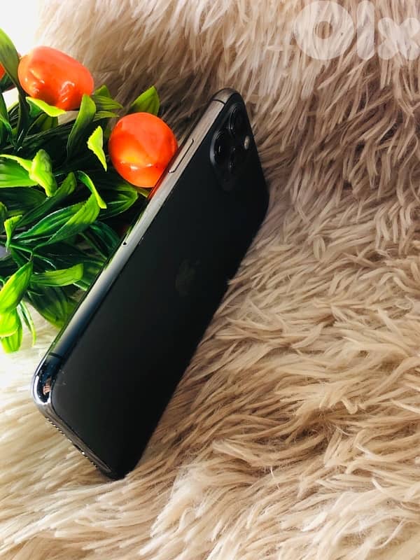 11 pro max عندي 1