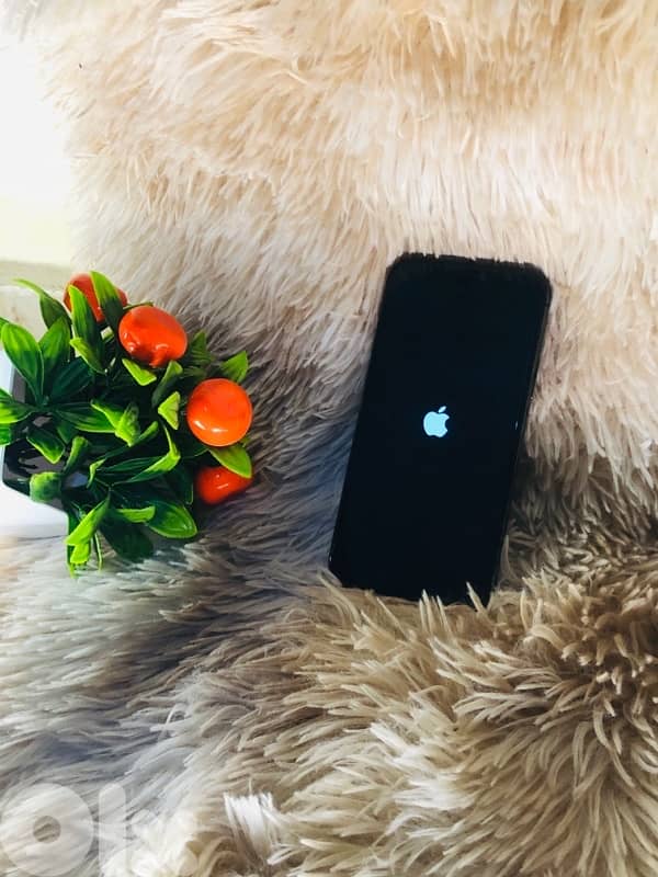 11 pro max عندي 2