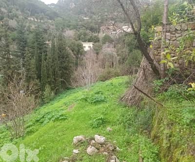 Land for sale in Dlebta-Keserwan أرض للبيع في دلبتا - كسروان