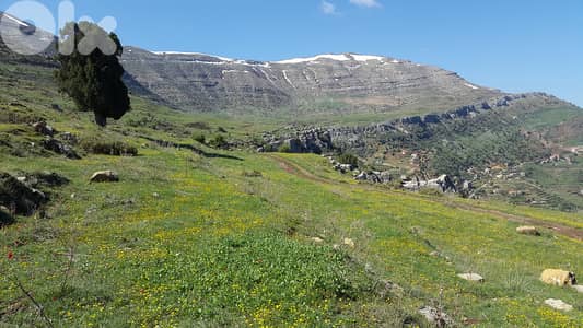 Panoramic Land in Chabrouh