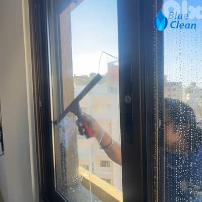 Blue Clean | Professional Cleaning Services