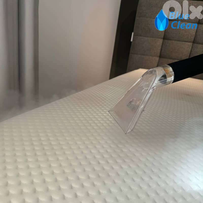 Blue Clean | Professional Cleaning Services 1