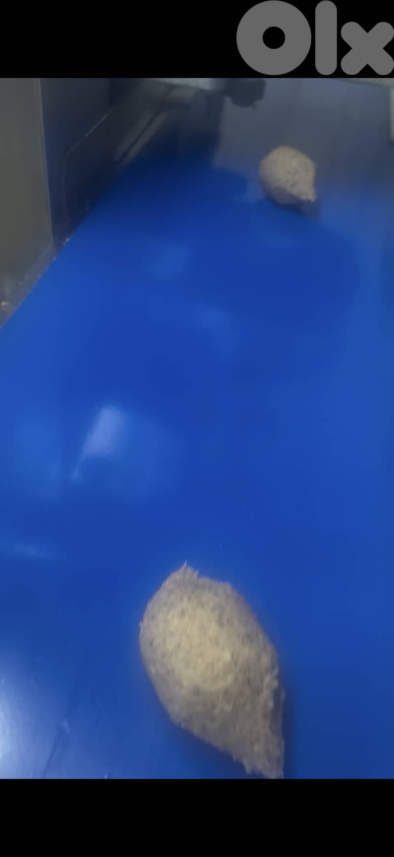 Kibbeh & Maamoul Machine – 60 pcs/min – Barely Used!!! 2