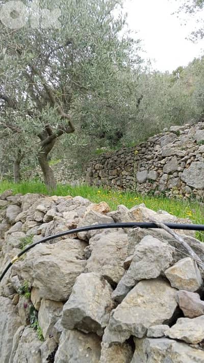 أرض للبيع في كفرنيس الشوف land for sale in chouf