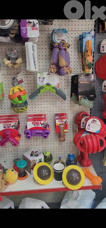 pet shop supplies