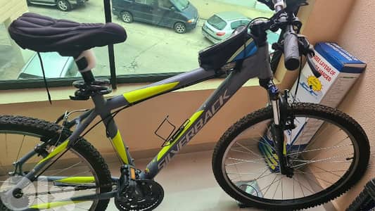 Silverback Stride Bicycle