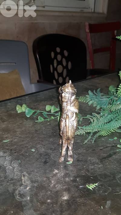 قطعه نادرة وجحى