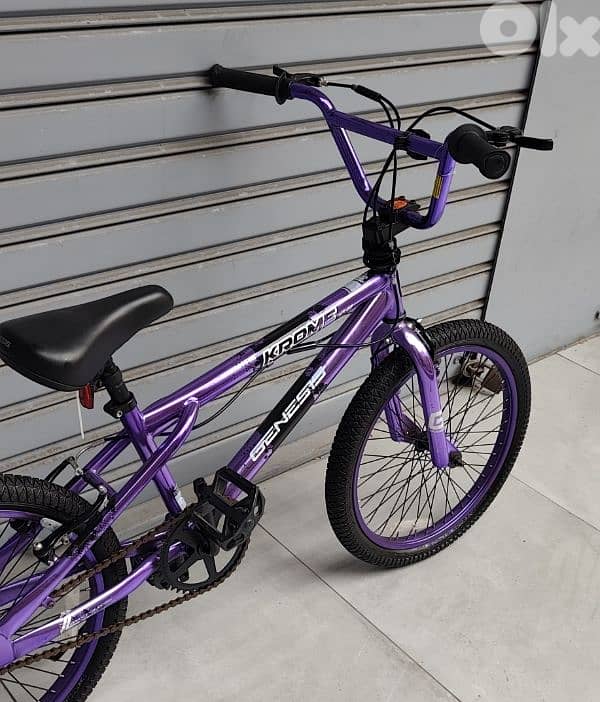 Genesis bicycle 20 BMX 2