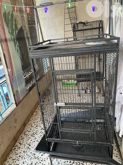 قفص  للببغاوات