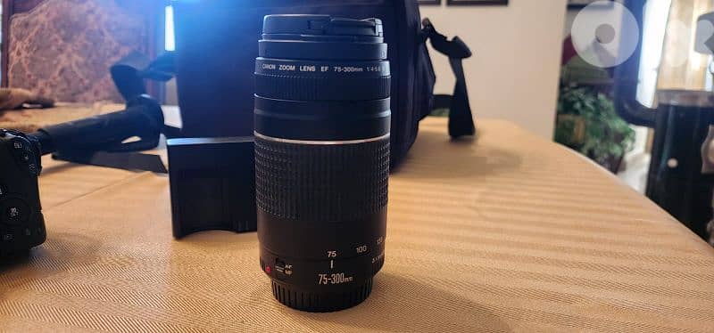 Canon EOS 200D/Rebel SL2 4