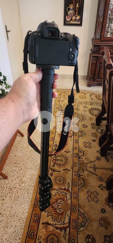 Canon EOS 200D/Rebel SL2 9