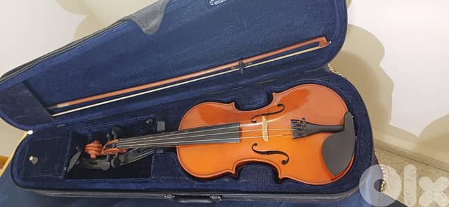Violin