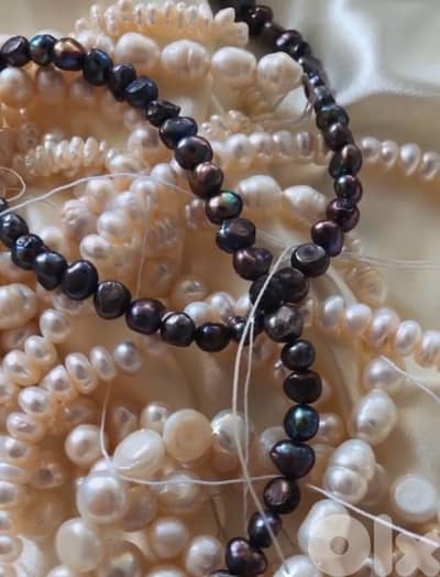 Well exposed in the market ACCESSORIES business for sale.