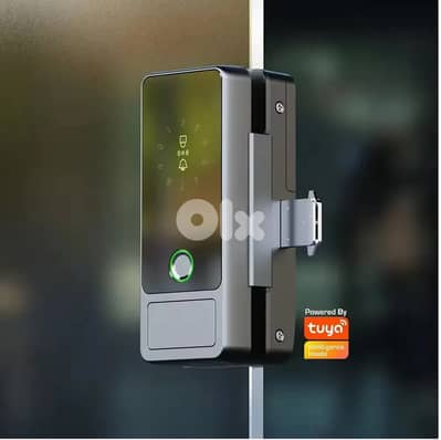 Tuya Smart Entrance Door Lock Modern Frameless Glass D-46