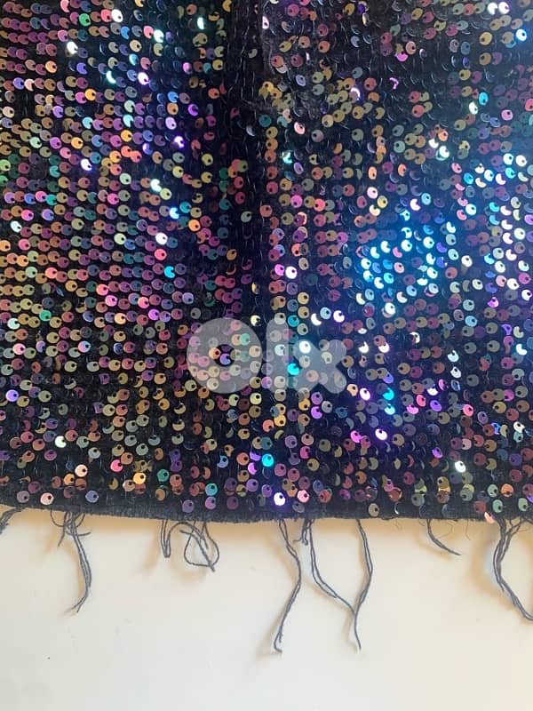 Subdued sparkly skirt 4