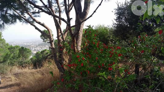 1020 Sqm Land For Sale In Ain Saadeh ارض للبيع في عين سعادة