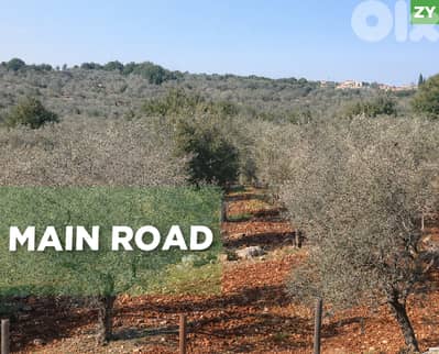 prime area, main road, great deal, Majdalaya/مجدليا REF#ZY133265