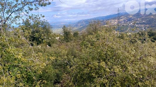 lands for sale in Assia-Batroun ارض للبيع في  أسيا-البترون