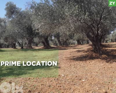 Prime Location ,great deal, zgharta, rachiine/زغرتا, رشعينREF#ZY133270