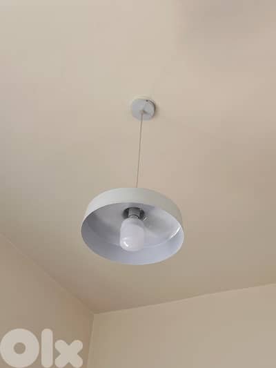 Pendant Light