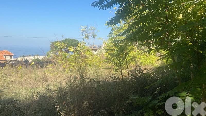 Excellent land in Beit Merry 2