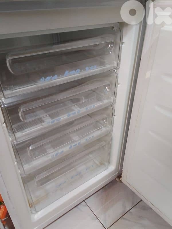 Freezer Campomatic 2