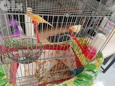 ,حوز    مع قفص