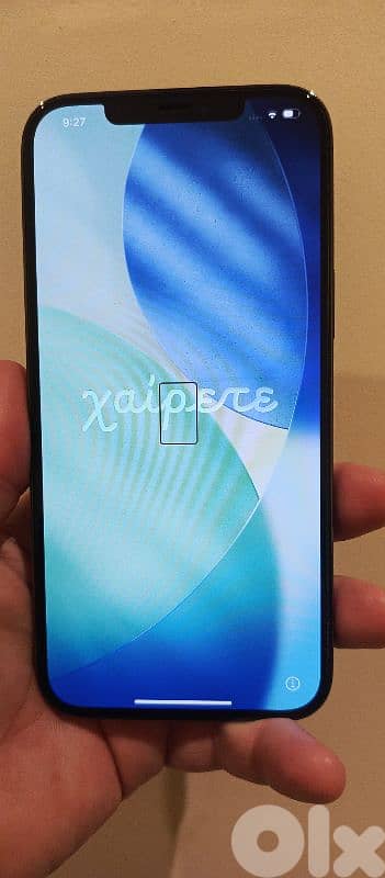 iphone 12 pro max 256 gb