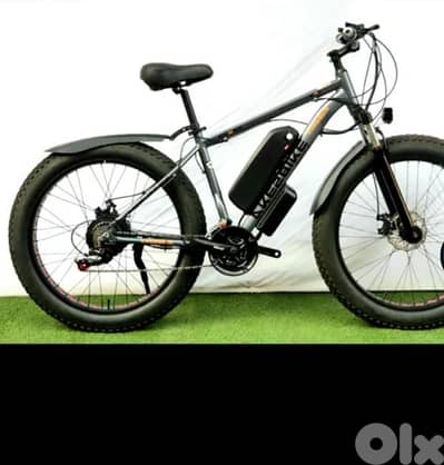 Electric bike