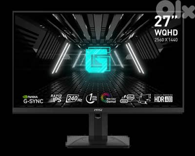 MSI G274QPX 240hz 2k