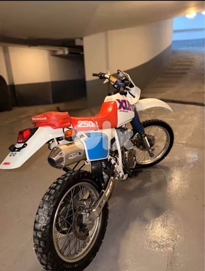 XLR 250 CC