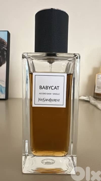 ysl babycat