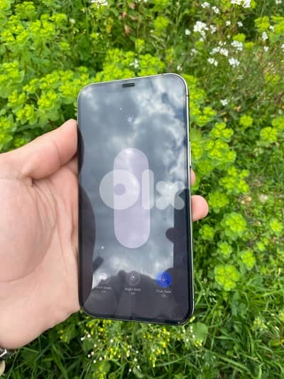 iPhone 12 pro max 256 original