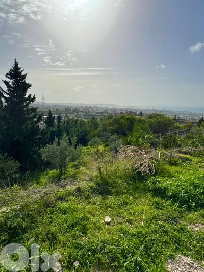 عقار مطل على البحر للبيع في الغازية -Land for Sale in Ghaziye Sea View