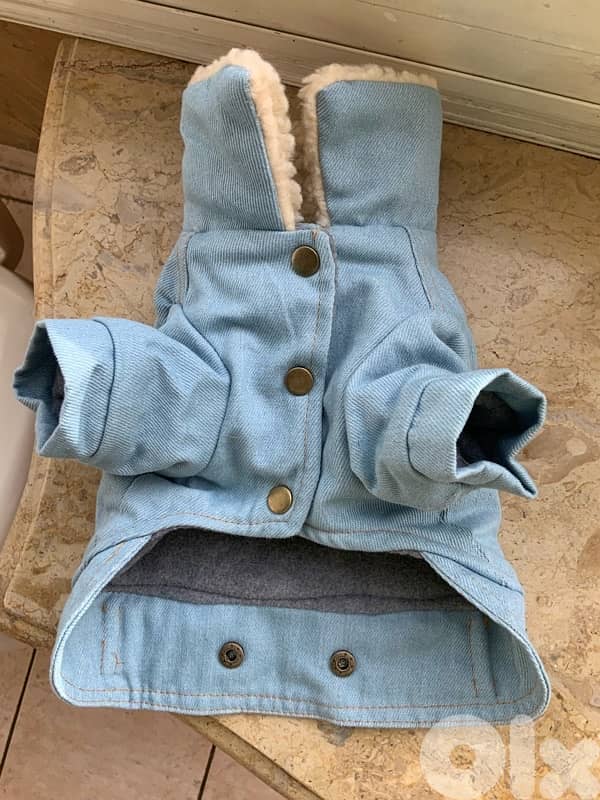 levis fur jeans small size for all small breeds under 8kgs 1