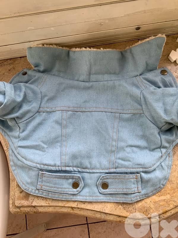 levis fur jeans small size for all small breeds under 8kgs 2