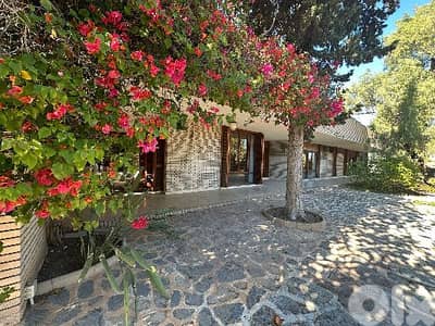 1000$/Sq VILLA IN RABIEH PRIME WITH GARDEN AND VIEW (RA-143) RN