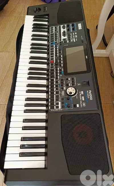 korg pa1000