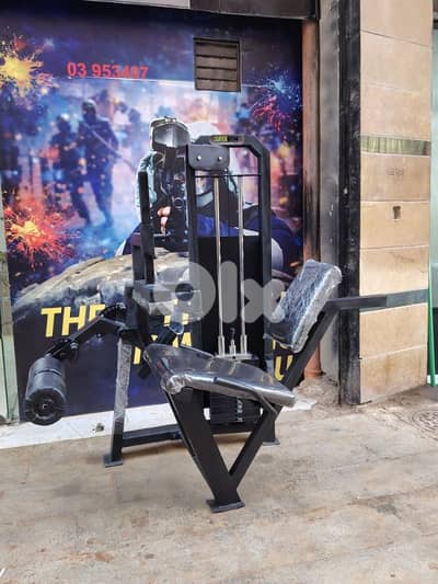 leg Extension and leg curl 2in1 heavy duty
