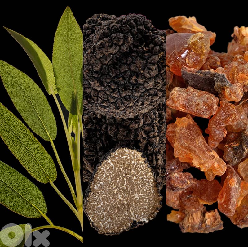 Carolina Herrera Bad Boy Cobalt Elixir 100ml Eau de Parfum 2