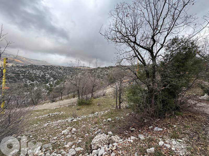 Tarchich | 650m² Land | ZONE 25/50 | Road Access | Open Mountain View 3