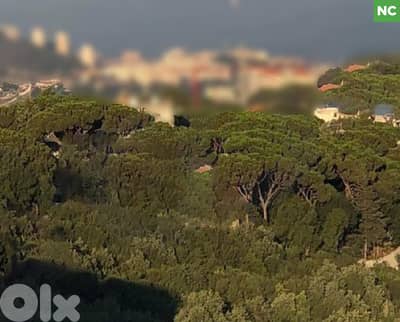 Grab this high profitable land in Shaileih / الشيلة REF#NC133349