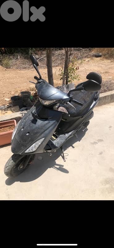 النبطية القصيبة