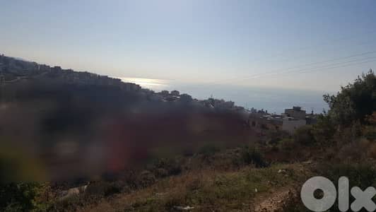 GMB153JC - Land For Sale In Blat - أرض للبيع في بلاط