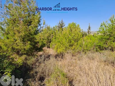 Land for Rent in Fatqa أرض للإيجار في فتقا