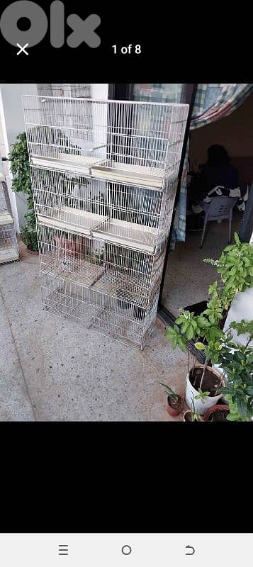 Birds Cages