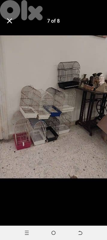 Birds Cages 1